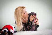 Gorgeous Italian greyhound - Italian Greyhound (200) Gorgeous Italian greyhound - Italian Greyhound (200)