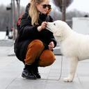 Puppy maremmano-abruzzese sheepdog - Maremma and Abruzzes Sheepdog (201)