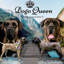 Dogo Queen - Maria Bratkova