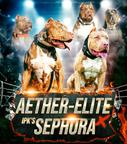 XXL american Bully puppies