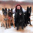 Profile photo of the user TerangroRoyal