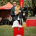 Profile photo of the user LUXMARRY