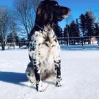 Z Budišovské doliny