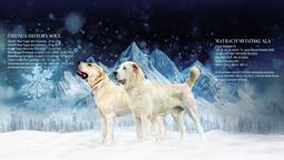 Central Asian Shepherd Puppies