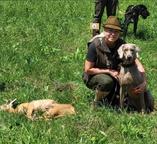 Puppies for sale - weimaraner - SLOVAKIA