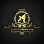 JCH SRB, CH SRB, CH CG, GRAND CH CG, CH MK, GRAND CHMK