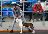 United West Line FCI 8327