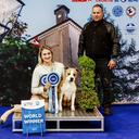 Profile photo of the user nikolakotur