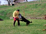 Training