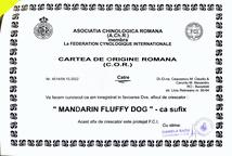 FCI Kennel document