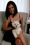 BICHON FRISE puppies