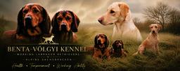 Dedicated to breeding Labrador Retrievers and Alpine Dachsbrackes with a focus on quality, working ability and responsible breeding.