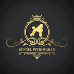 From the kennel Petrovgrad FCI 7630