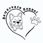 Betyarvaro Kennel