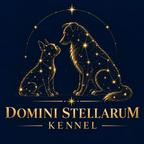 DOMINI STELLARUM