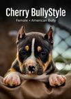 American Bully