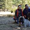 Marian Stanga's picture