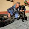 Peter Cane Corso's picture