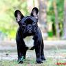 ma belle amie's picture