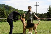 Bloodhound - Bloodhound (084)