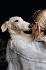 Beautiful Russian Wolfhound - Borzoi Puppies - Borzoi - Russian Hunting Sighthound (193)