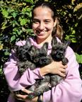 Cairn terrier puppies - Cairn Terrier (004)