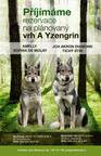 Czechoslovakian wolfdog puppies from country of origin - Czechoslovakian Wolfdog (332)
