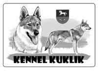 Kuklík